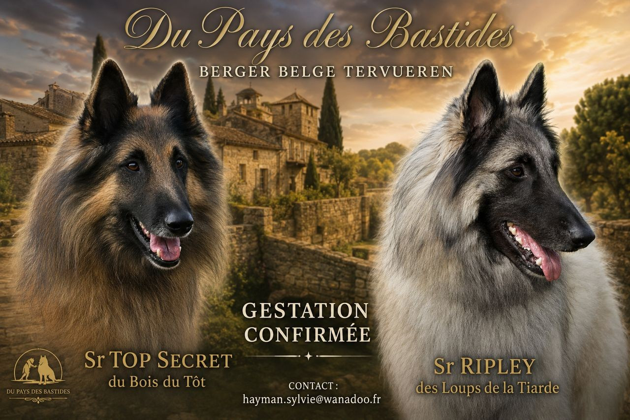 GESTATION CONFIRMEE POUR RIPLEY